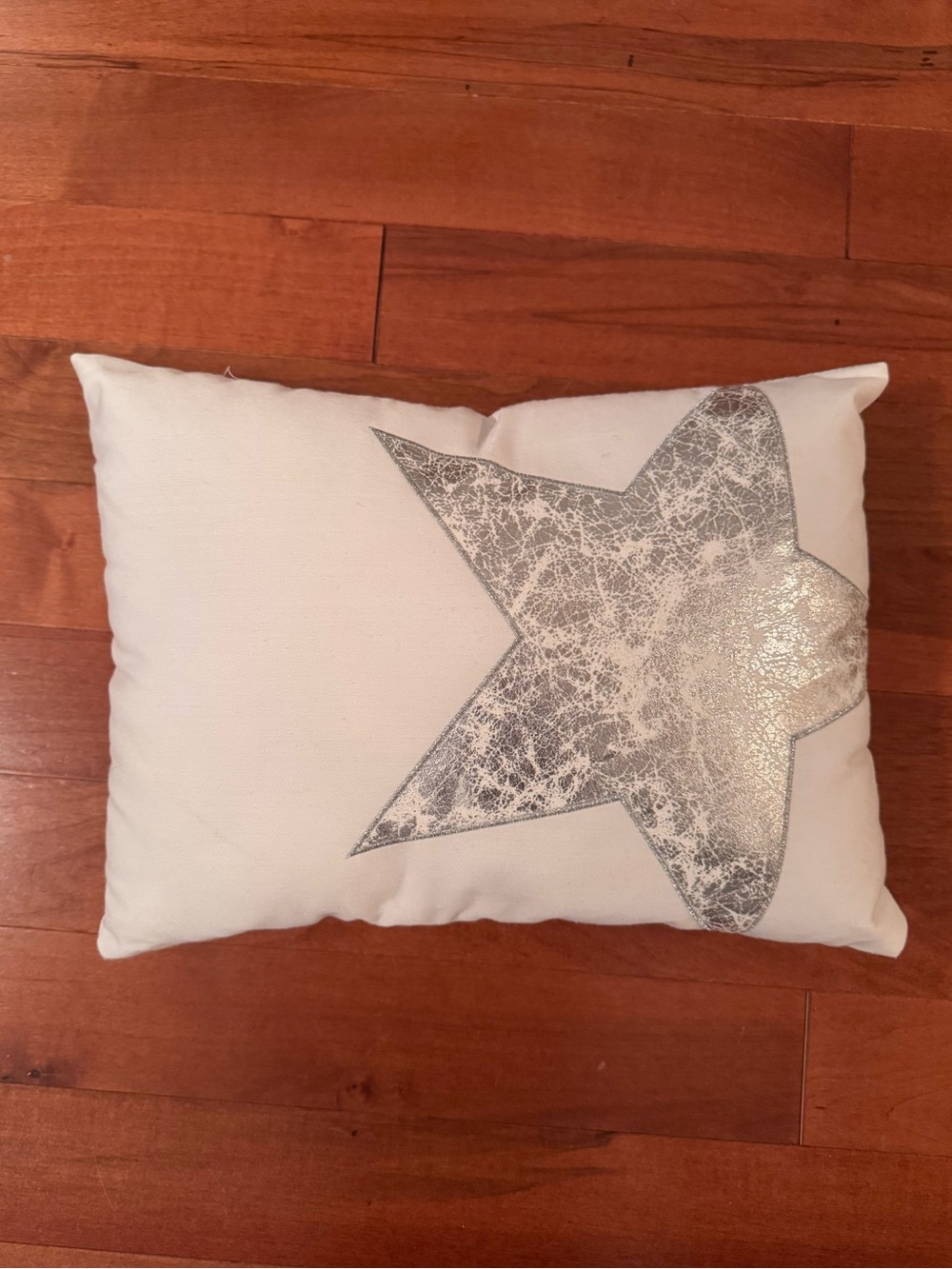 Silver Star Throw Pillow